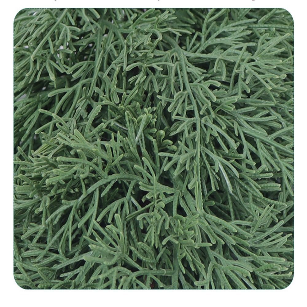 Ramo di pino artificiale verde - Christmas Tree Artificial recensione e prezzo